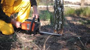 Best Lawn Maintenance Plans  in Fredericktown, OH