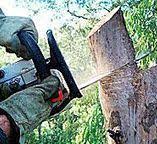 How Our Tree Care Process Works  in  Fredericktown, OH